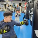 더쎈복싱GYM