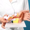 실로암보청기 이미지