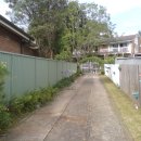 쟈스민2 이미지