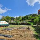 경부농장 이미지