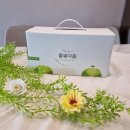 양배추즙 추천, 올웨이즙 100% 양배추 과채주스 후기