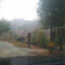 호랑소펜션 이미지