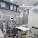 강동동물병원 이미지