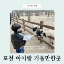 힐링 나들이 | 포천 나들이 추천, 마이애니멀스토리in평강랜드 아이랑 다녀온 후기