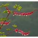 벽제원 | 제19대 숙종의 후궁 숙빈 최씨 (소령원)