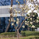 서대전육교밑 이미지