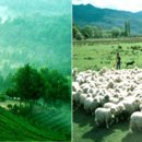 방방곡곡 우리 문화유산 여행 이미지