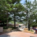 로얄카바나 | 아기랑 방학 때 갈만한 곳 : 아기들과 오션월드 후기(선베드,카바나 명당 추천)