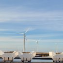 천일태양광3발전소 이미지