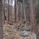 구례의길(지리산둘레길) 이미지