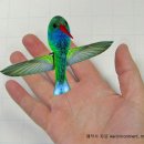 날개 파닥이는 초소형 비행기 개발 이미지