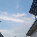 다온농원 이미지