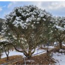 백송농장 이미지