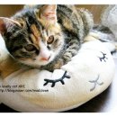 LOVELY CAT 이미지
