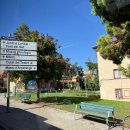 크로스핏 파밀리아 | 몬주익 수영장 &amp; Salts - Terrassa Bar 바르셀로나 뷰 명소 솔트