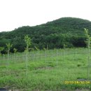 느티나무농장 이미지