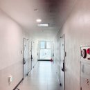 코티스 더 브릿지 이미지