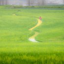 낙안농장 이미지