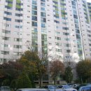 분당-311 이미지