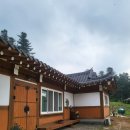 [양평/숙소]안마의자가 있는 한옥 독채펜션 '스테이 보다' (구 월하고택 양평서종점)