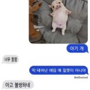 짱구야 놀자 이미지