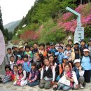천자봉산길공원 티스토리