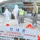 고석중농장 뉴시스