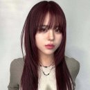 KT&G세종타워C 이미지