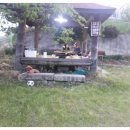 황소 민박 이미지