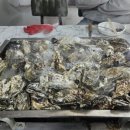 계절맛집 - 남구 | 계절맛집