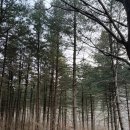 영남종합시장 | [경북 문경 여행] 설 연휴 가족과 함께한 겨울 산책, 걷기 좋은 옛길 '문경새재'