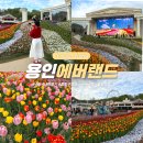 에버마켓 | 4월 경기도 용인 가볼만한곳 에버랜드 튤립축제 기간 플리마켓 식당