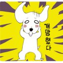 디스크독연구소 이미지