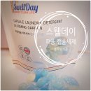 향기로운세탁 | 향기로운 세탁을 위한 스웰데이 캡슐세제 사용후기! [스웰데이]