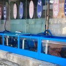 중매인55호 이미지