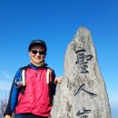 나리 태양광발전소 이미지