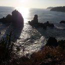 생명그리고빛 이미지