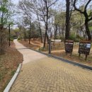 배꽃근린공원 이미지