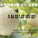 고창성내영농조합법인