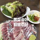 희망 | 수원 농수산물시장 횟집 희망수산 후기