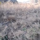 상삼마을회관 이미지