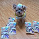 얌얌스토리 이미지