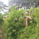 오영농장 이미지