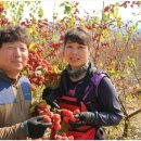 김광연 농장 이미지