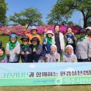 그린종합 이미지