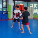 태호멀티짐 이미지