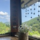 숲속산장 | 포항 카페 추천 :: 숲속 오두막 감성 힐링 카페, 선류산장 방문후기 🌿🍵