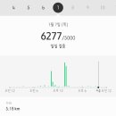 다정한파도 이미지