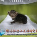 CU용답하이츠