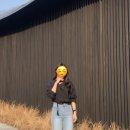 시호재 | 도심 속 제주 | 대구 근교 시호재&amp;시차 재방문 후기